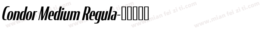 Condor Medium Regula字体转换